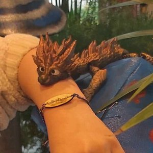 Un petit dragon en résine, aux écailles dorées et aux yeux expressifs, repose sur le bras d'une personne. Elle porte un bracelet avec l'inscription "Trolls & Légendes". En arrière-plan, des feuillages créent une ambiance magique.