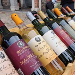 Rangée de bouteilles de vin colorées présentées sur un présentoir en bois.