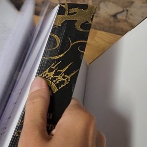 S.C BOYER - Un instant de lecture : exploration d'un livre ancien et mystérieux