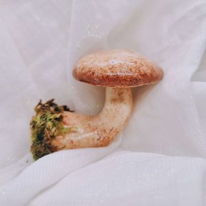 ToxiPixie - Champignon courbé posé sur tissu blanc