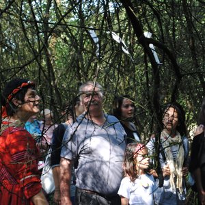 Un groupe de personnes se tient dans une forêt dense, entouré d'arbres. Certaines personnes regardent vers le haut, intriguées par des morceaux de papier accrochés aux branches. Parmi le groupe, une femme en robe rouge se distingue, avec un bandeau floral