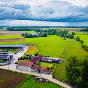 Ferme et champs verdoyants vus du ciel sous un ciel nuageux, troupeau près de la route.