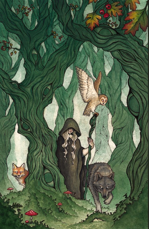 Adèle LEFEUVRE - La Gardienne des Forêts Mystérieuses