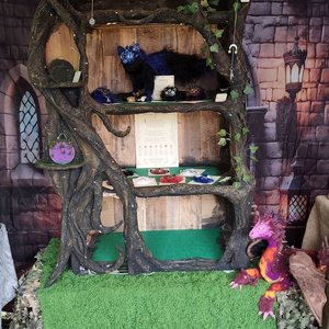 Étagère féerique en bois et lianes avec chat noir décoratif et petit dragon rose.