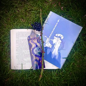 Suhi Stev - Entre pages et ronces : lecture bucolique