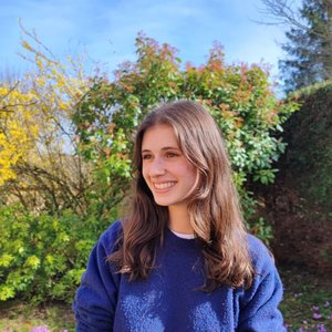 Pome L. DESOMBRE - Une journée ensoleillée dans le jardin fleuri