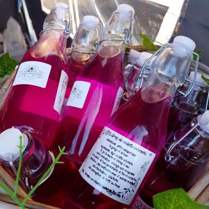Bouteilles à fermeture mécanique contenant sirop rose vif disposées dans un panier décoré.